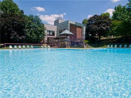 Sparkling pool and sundeck Sparkling pool and sundeck