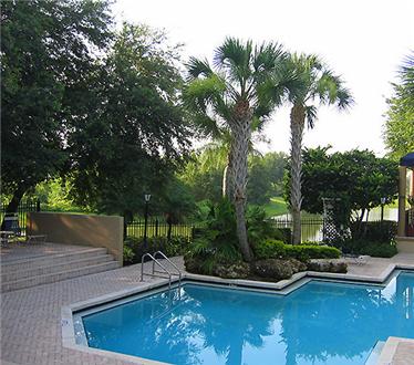 Tropical landscaping Tropical landscaping