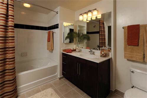 Bathroom with Black Finish Bathroom with Black Finish