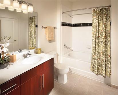 Bathroom with Maple Finish Bathroom with Maple Finish