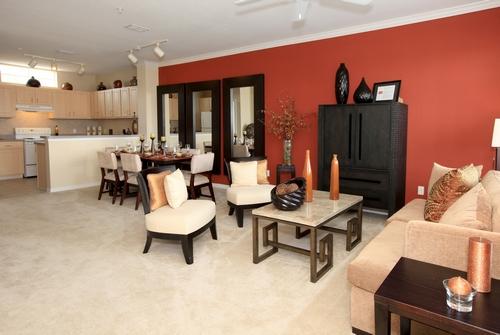 Living Area Living Area