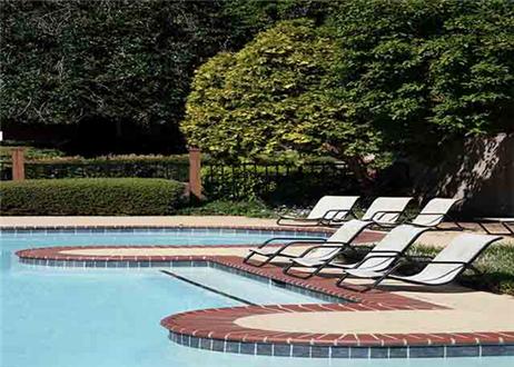 Sparkling pool and sundeck Sparkling pool and sundeck