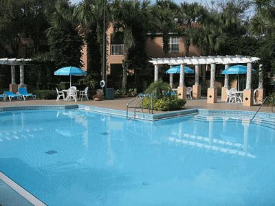 Beautiful pool Beautiful pool