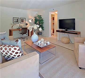 Large spacious living room Large spacious living room