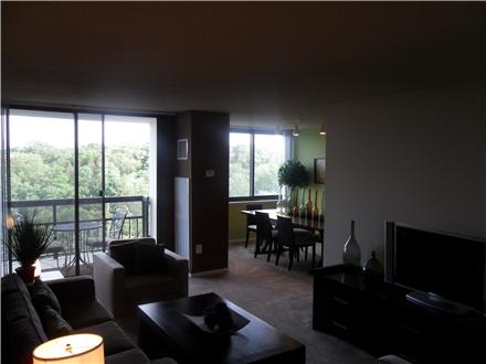 Living room and dining area