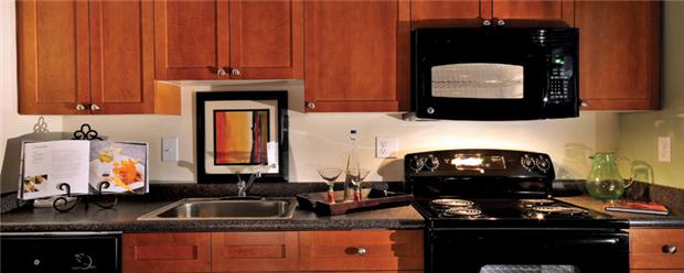Kitchen with sleek black appliances Kitchen with sleek black appliances