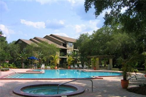 Swimming Pool with Spa Swimming Pool with Spa
