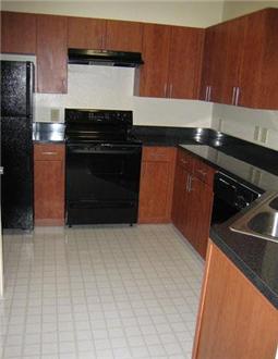 Renovated Open kitchen with lots of cabinet and counter space