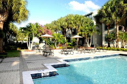 Sparkling pool and sundeck Sparkling pool and sundeck
