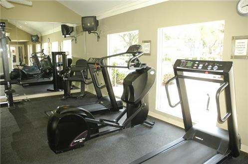Cardio Equipment Cardio Equipment