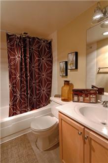 Large bathroom