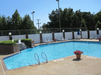 Beautiful pool Beautiful pool