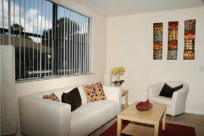 Large windows allow in lots of natural light Large windows allow in lots of natural light