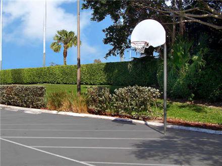 Basketball Basketball
