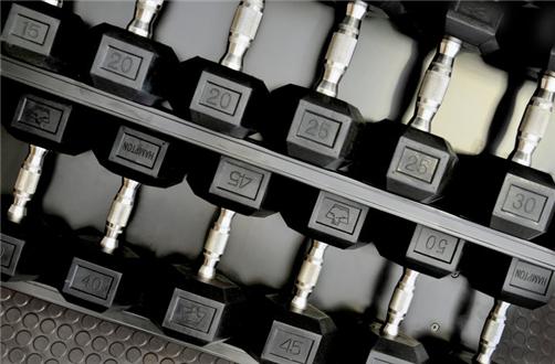 Fitness center with free weights