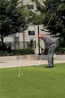 Putting Green Putting Green
