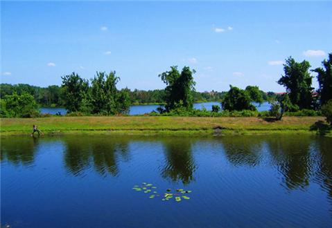 Lake Lake