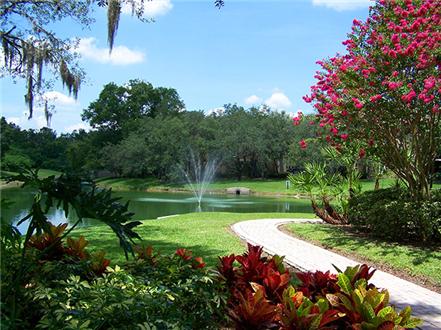 Beautiful Landscaping Beautiful Landscaping