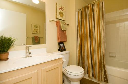 Spacious bathroom Spacious bathroom