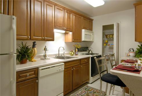 Open kitchen with wooden cabinets Open kitchen with wooden cabinets