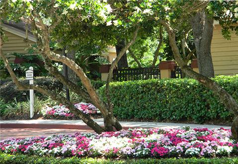Well manicured landscaping Well manicured landscaping