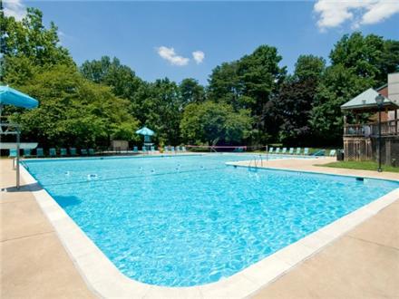 Sparkling pool and sundeck Sparkling pool and sundeck