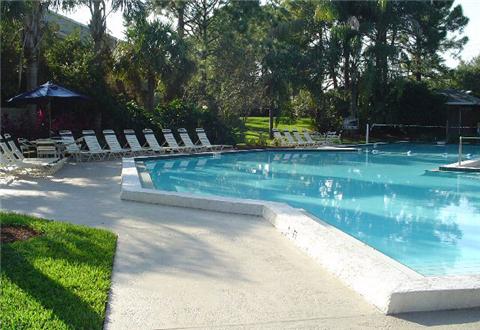 Sparkling pool and sundeck Sparkling pool and sundeck