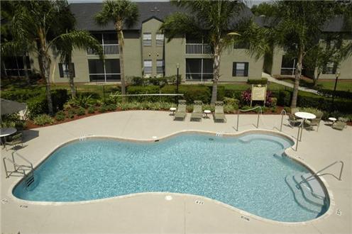 Expansive Sundeck and Pool Expansive Sundeck and Pool