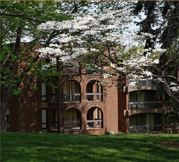 Wooded exteriors Wooded exteriors