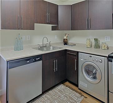 Renovated kitchen Renovated kitchen