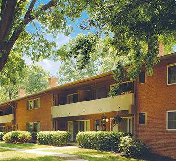 Gorgeous wooded exteriors Gorgeous wooded exteriors