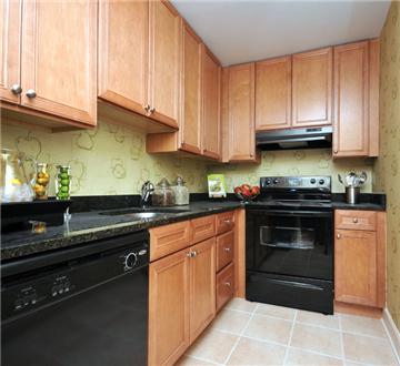 Spacious Kitchen Spacious Kitchen