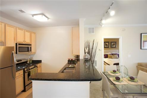 Kitchen Area Kitchen Area