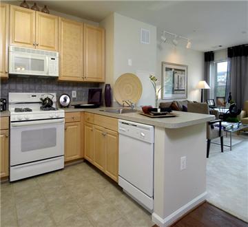 Open kitchen with wooden cabinets