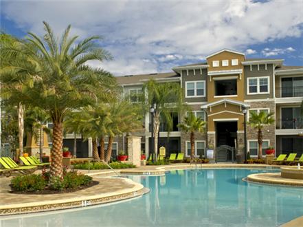 Gorgeous pool and sundeck Gorgeous pool and sundeck