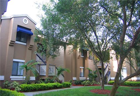 Lush tropical landscaping throught property Lush tropical landscaping throught property