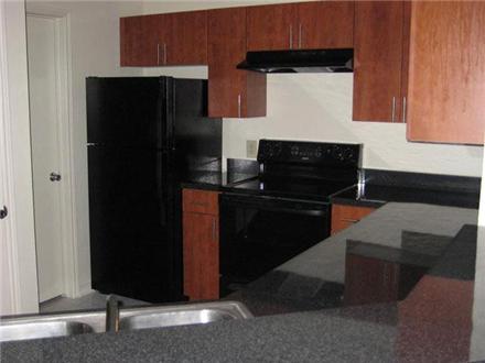 Renovated Large kitchen with sleek black appliances