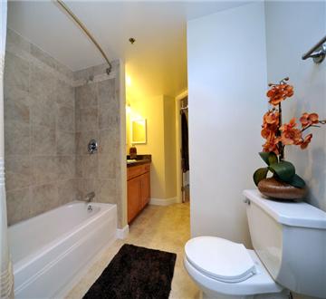 Renovated Bathroom Renovated Bathroom