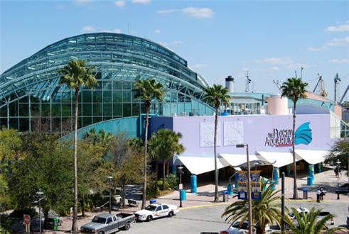 The Florida Aquarium The Florida Aquarium