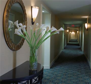 Hallway Hallway