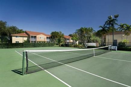 Tennis court Tennis court