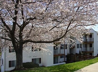 Amazing landscaping Amazing landscaping