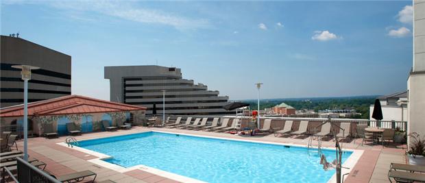 Beautiful Rooftop Pool Beautiful Rooftop Pool