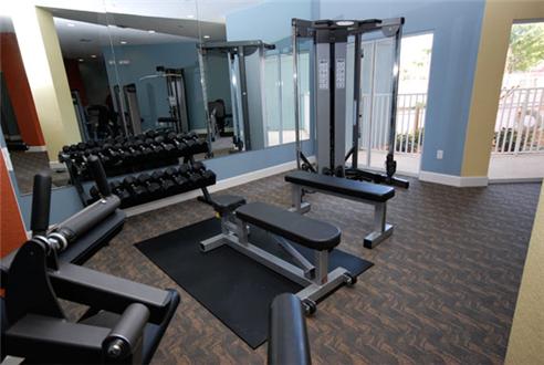 Fitness center equipped with free-weights Fitness center equipped with free-weights