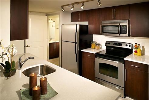 Large Kitchen Large Kitchen