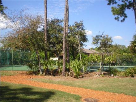 Tennis court Tennis court