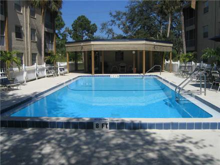Simming Pool with Sundeck Simming Pool with Sundeck