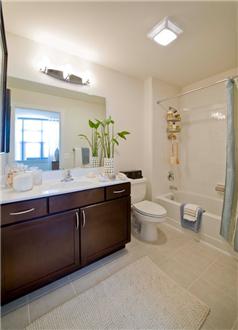 Bathroom Bathroom