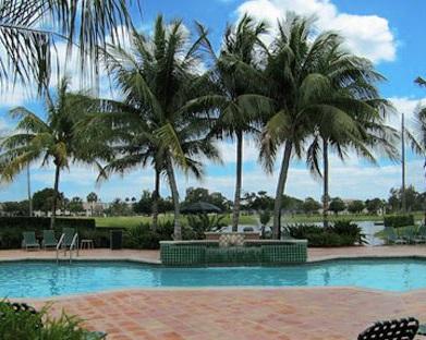 Gorgeous Swimming Pool Gorgeous Swimming Pool
