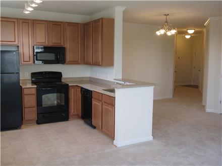 Nice kitchens! Nice kitchens!